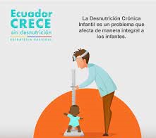 DESNUTRICIÓN CRÓNICA INFANTIL "ECUADOR CRECE SIN DESNUTRICIÓN"